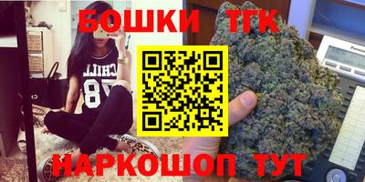 сатива Кингисепп