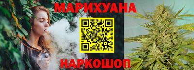 сатива Кингисепп