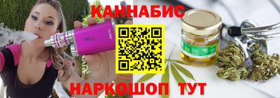 сатива Кингисепп