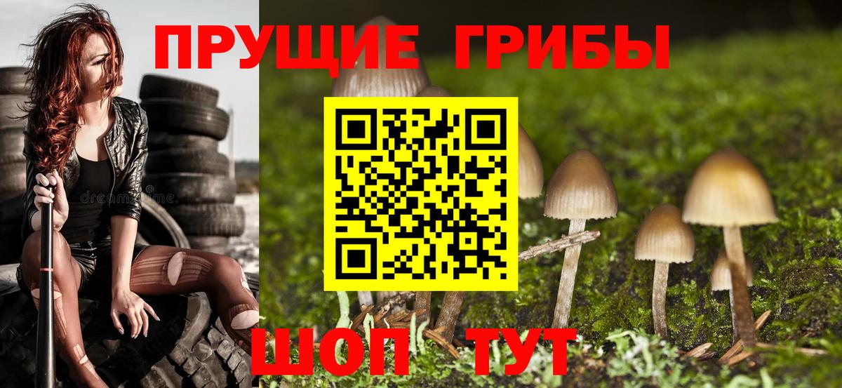 Галлюциногенные грибы ЛСД Кропоткин